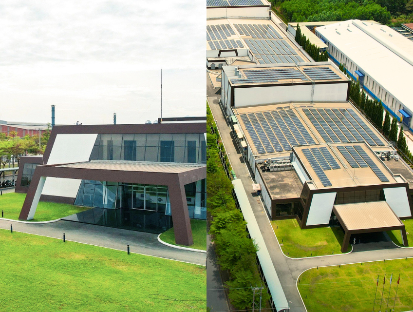 Dobla Vietnam plant